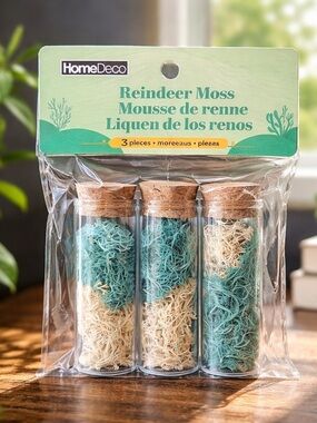 Reindeer Moss Set of 6